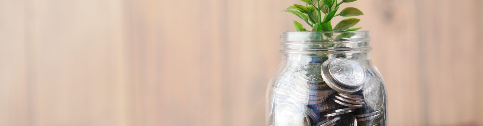 Growing recurring revenue - glass jar with coins and plant